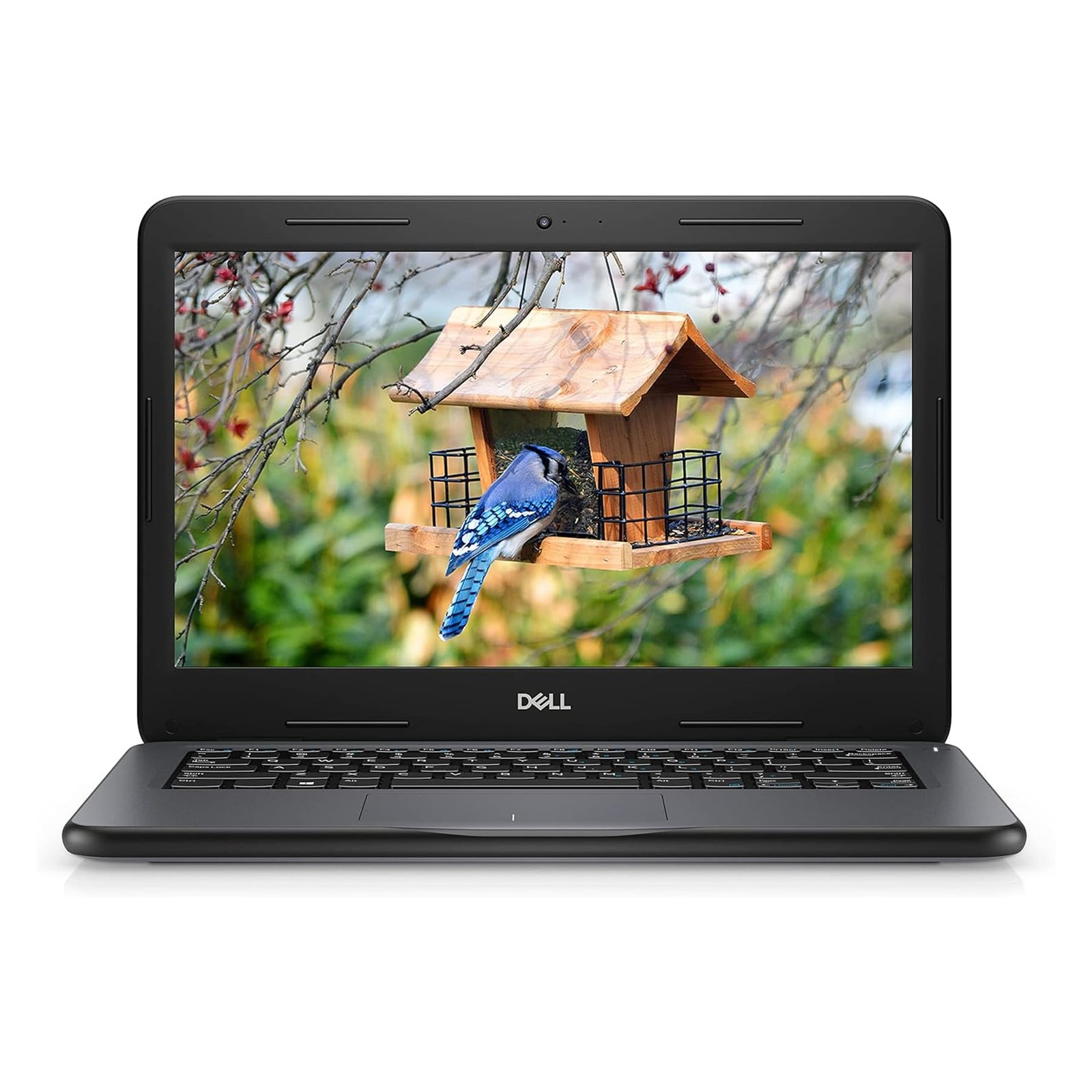 Dell Latitude 3300