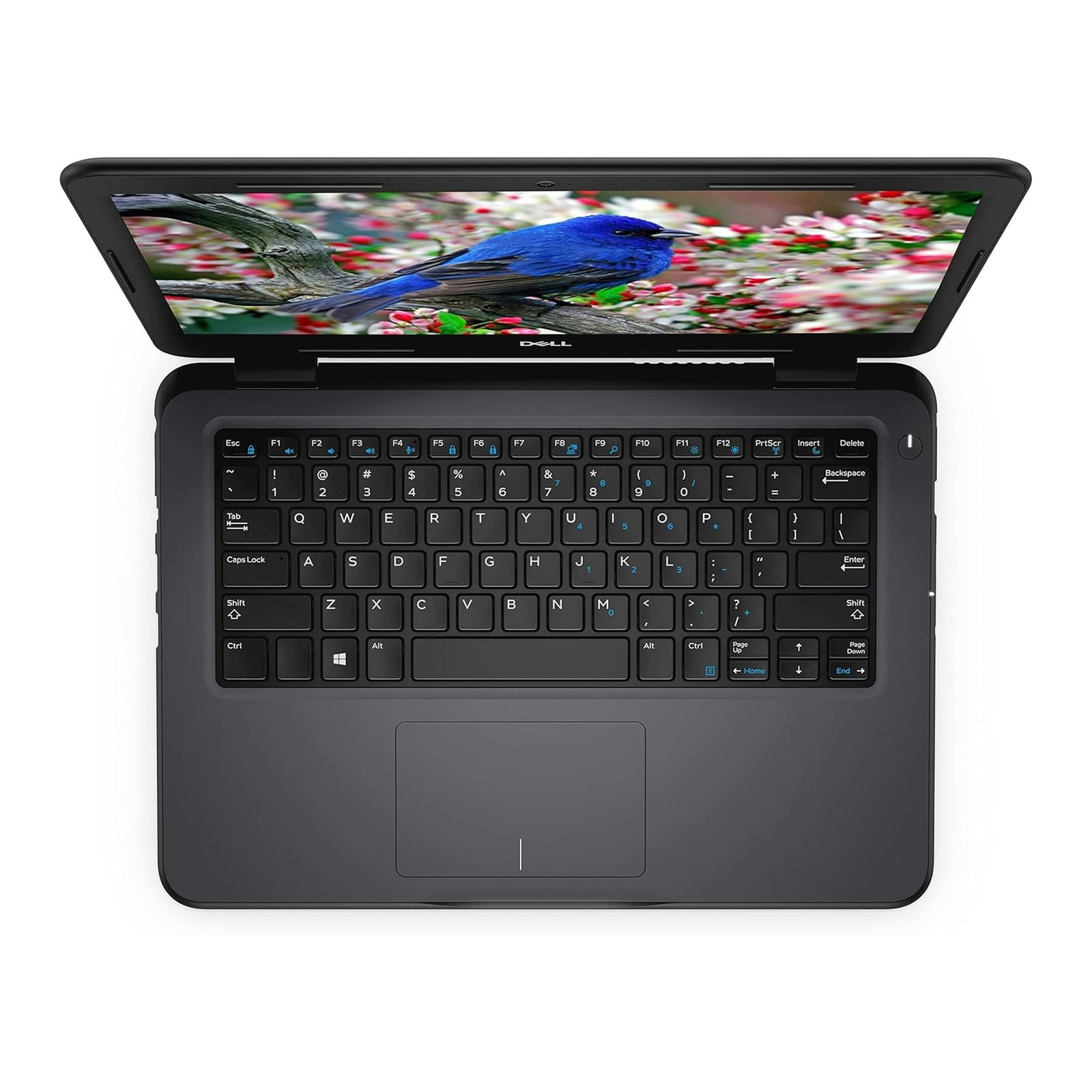 Latitude 3300 view 6